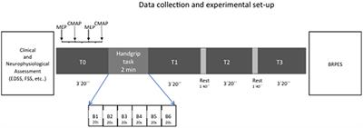 Fatigue in Multiple Sclerosis: General and Perceived Fatigue Does Not Depend on Corticospinal Tract Dysfunction